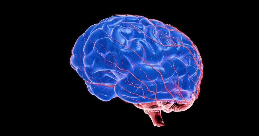 Electrically active neurons firing in complex brain network, highlighting communication signals, memory mapping and advanced neuroscience research – 3D Rendering
