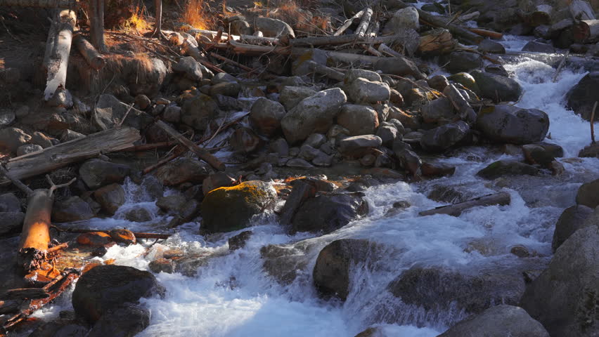 A large mountain stream runs through large rocks in a pine forest