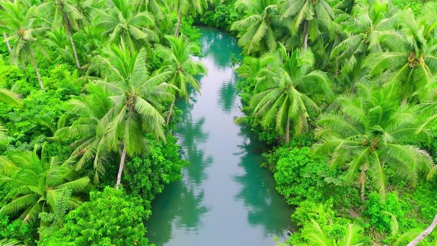 Aerial view of a winding river and dense green palm trees. Small wooden structures line the riverbank of Maasin River, Siargao, Philippines.