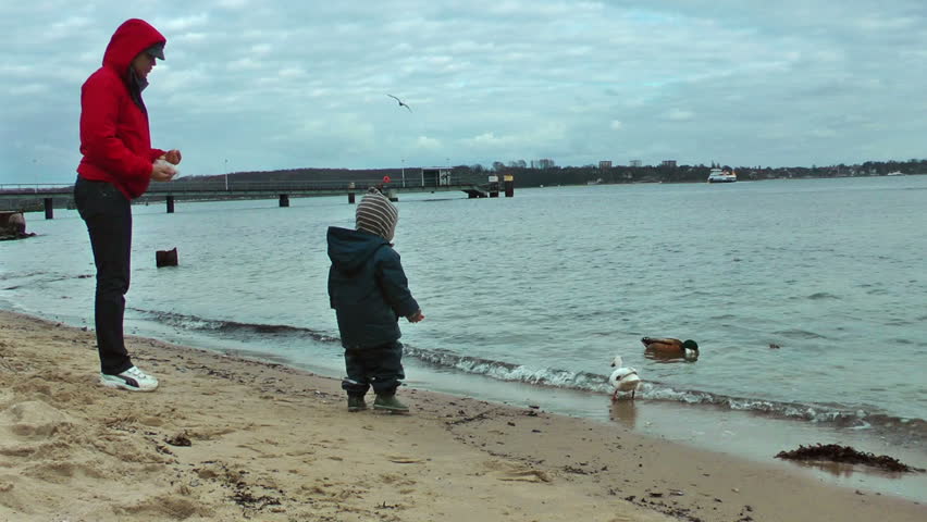 Mother and little boy on the beach feeding ducks