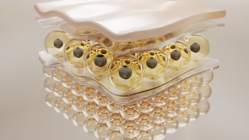 Animation Laser treatment for freckles. Laser Pigmentation Removal. Laser Treatment for Freckles or Age Spots. Spot melasma pigmentation facial treatment on face.