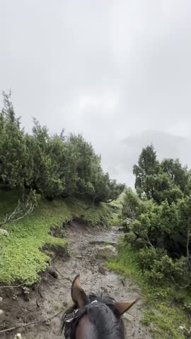 Kyrgyzstan Tien Shan: Misty Horseback Alpine Trail