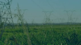 Telemetry signal initiating HUD overlaying field, animating charts and tickers for power monitoring. Rural, grassland, pylon, data, graphs, landscape, gridlines - Powered by Shutterstock - Get 15% off with code: PIKWIZARD15