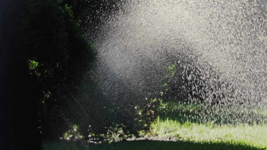 A garden sprinkler sprays water into the air, with sunlight reflecting off the droplets in a green park