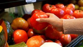 Friendly greengrocer in a protective apron and gloves helping a female customer select a ripe, red tomato from the fresh produce section of a modern grocery store or supermarket - Powered by Shutterstock - Get 15% off with code: PIKWIZARD15