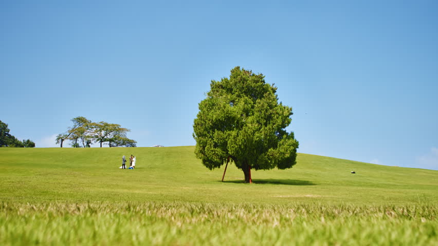 Young Couple And Photographer On A Green Grassy Hill With A Solitary Tree During An Outdoor Photoshoot Under A Clear Blue Sky.