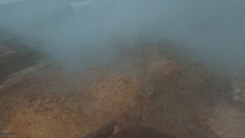 Carry firewood, don't put firewood in the woodcutter