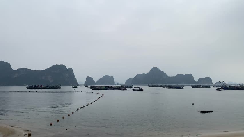 Fishing boats on calm waters with limestone karsts in a misty coastal landscape of Ha Long Bay, Vietnam.