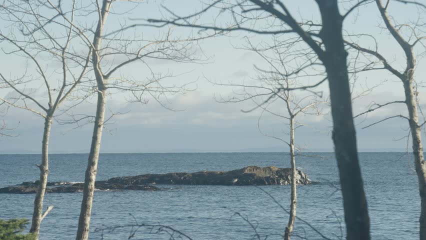 Scenic View of Rocky Island on Lake Superior Framed by Bare Birch Trees in Late Autumn