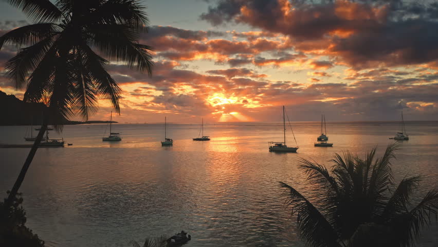 Moorea island seascape shows a dramatic tropical sunset over calm ocean waters, with sailing boats anchored peacefully, framed by silhouetted palm tree fronds and vibrant clouds