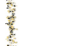 An animation of lively spread of black and yellow confetti particles along the left side of the scene against a clean white backdrop, forming a bright and cheerful celebratory border - Powered by Shutterstock - Get 15% off with code: PIKWIZARD15