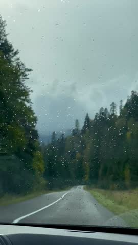 Video: Driving through the forest road in the Carpathians under light rain