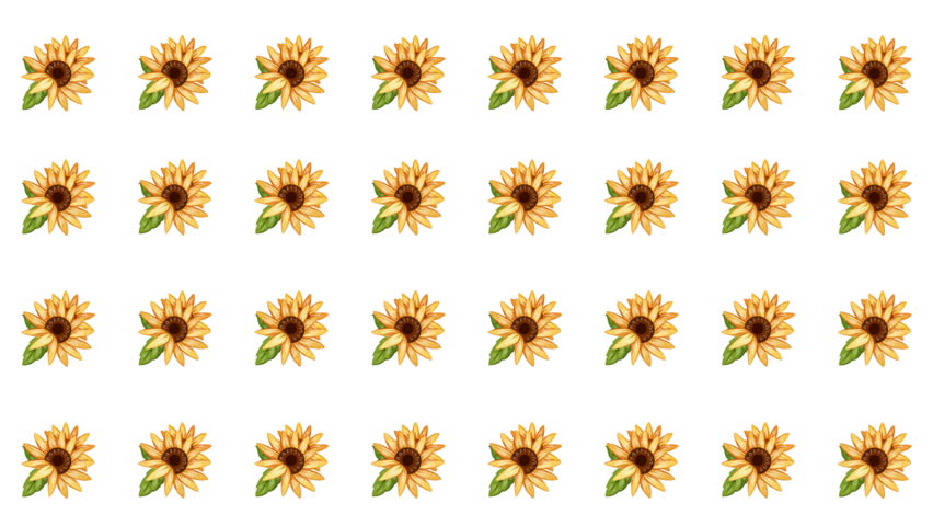 A warm motion graphic featuring a dense, repeating arrangement of detailed watercolor sunflowers with visible brushstrokes, ideal for autumn themed crafts or seasonal promotions.