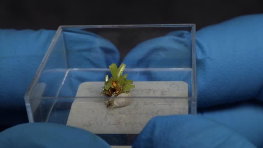 green Pyromorphite crystals in close-up in hand of scientists