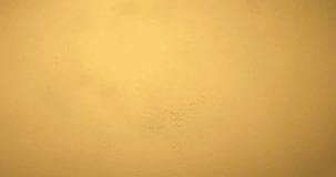 Slow Motion Of Golden Water Ripple With Concentric Waves Created By Falling Droplet In Slow Motion Under Warm Light And Smooth Reflective Surface at 1000 fps. - Powered by Shutterstock - Get 15% off with code: PIKWIZARD15