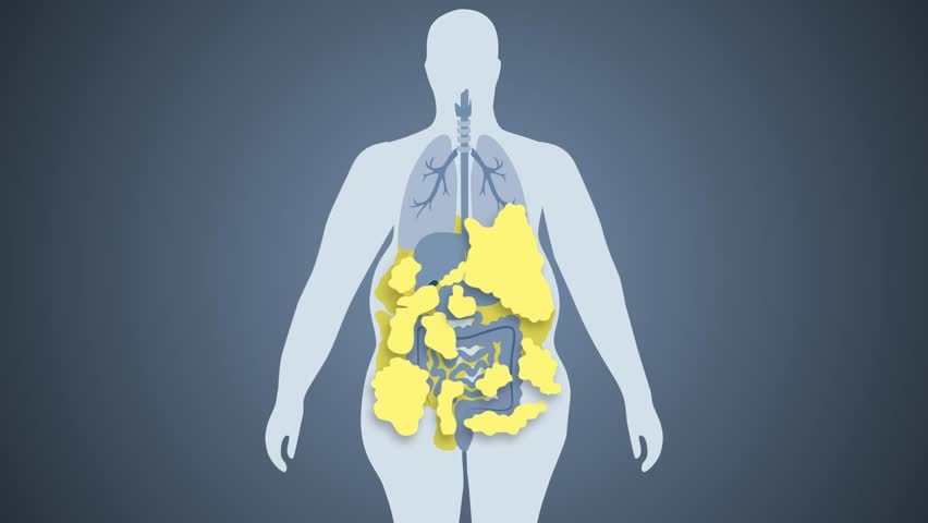 Fat burning off animation. Visceral fat reducing. Body Fat Reduction Concept with Visceral and Subcutaneous Fat Layers in Human Abdomen – Health and Fitness Education 2D Rendering