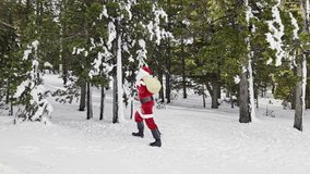 Santa Claus walking through a snowy pine forest with a gift bag on his shoulder, gently brushing snow off tree branches and creating a magical festive Christmas atmosphere in a serene winter landscape - Powered by Shutterstock - Get 15% off with code: PIKWIZARD15