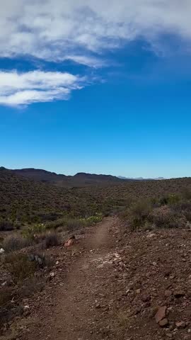 Hiking Through Vast Desert With Rolling Hills (Big Bend National Park, Texas, USA)