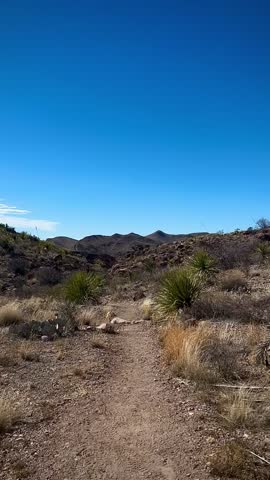Hiking Through Rugged Desert With Mountains in the Distance (Big Bend National Park, Texas, USA)