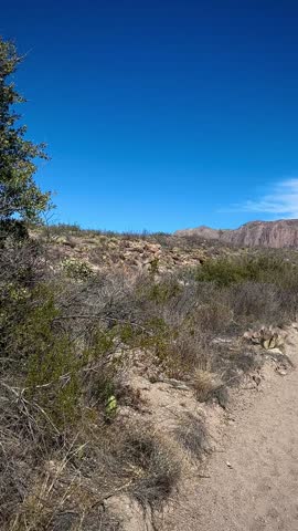 Sandy Desert Trail with Beautiful Mountains in the Distance (Big Bend National Park, Texas, USA)
