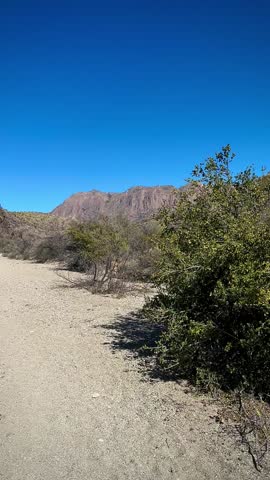 Desert Trail Panorma With Blue Skies (Big Bend National Park, Texas, USA)