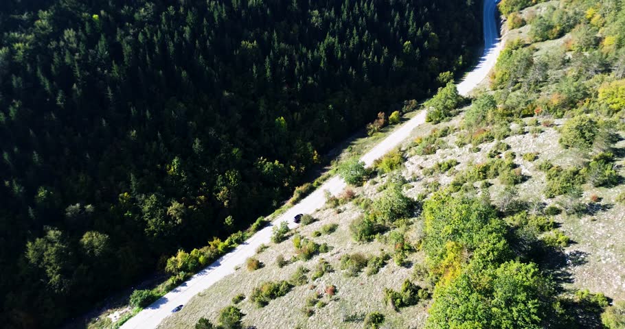 Aerial view of vehicles driving along a scenic mountain pass between a pine forest and a hillside