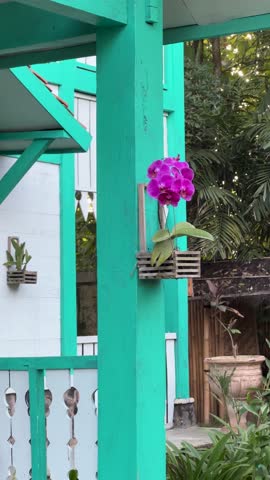 A bright purple orchid is placed on a wooden post by a turquoise house in a garden