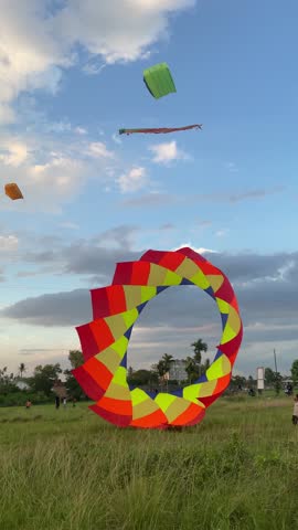 Colorful Mixed Shape Kites Flying in Blue Sky Over Green Field During Sunny Day