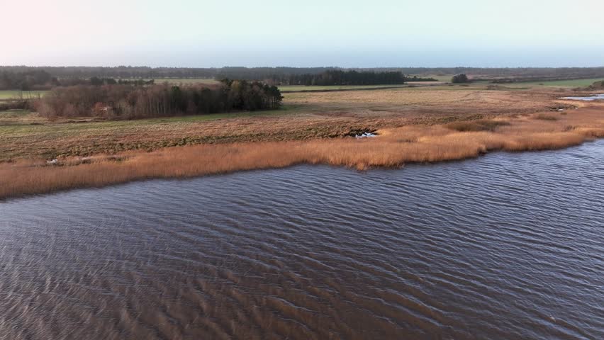 Aerial drone view of an autumn meadow with tall grass, a wide body of water, and a distant forest under bright afternoon sun in Denmark’s Jutland region.