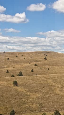 Vertical Aerial View of Mountain Landscape, Pastures and Pine Trees Under Clouds on Sunny Summer Day