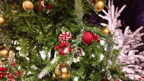 Close up on shiny baubles and red berries nestled in green pine branches, then slowly pulls back showing Christmas tree, creating festive holiday atmosphere with with warm lights and rich colors - Powered by Shutterstock - Get 15% off with code: PIKWIZARD15