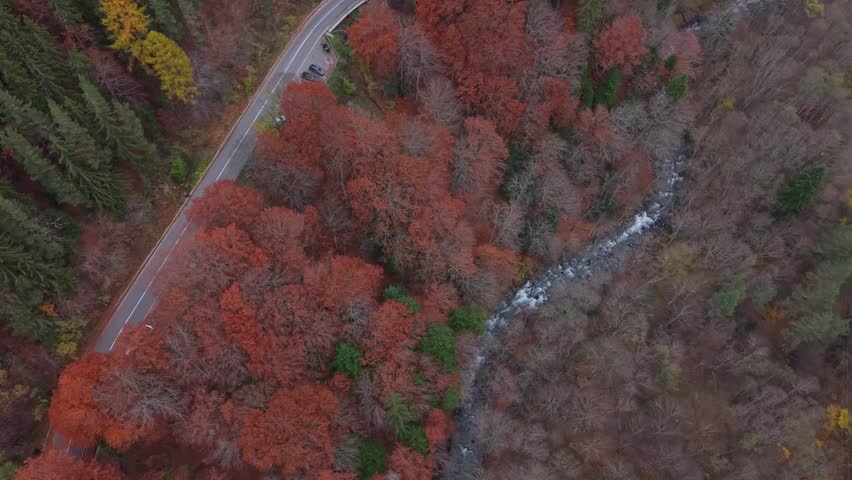 A top-down drone shot captures a red forest and river, gradually revealing the surrounding landscape and the historic Rila Monastery.