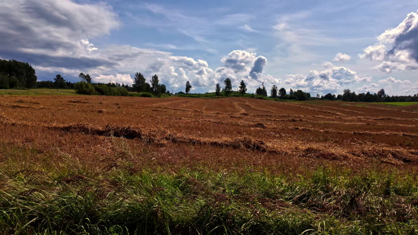 Beautiful and green natural scenery in Dobele, Latvia