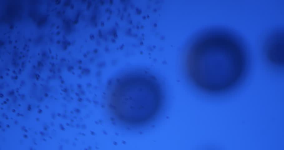 Gas Emission in Water Environment Close Up, Light Blue Video from Chemical Laboratory Research, Scientific Reaction Process, Fluid Dynamics Observation, Education Science Study for Researchers