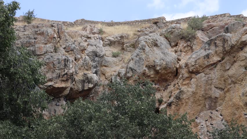 "Moving view inside a dim natural cave with rocky walls, textured surfaces, and soft ambient reflections, forming a quiet underground scene suitable for commercial nature footage."