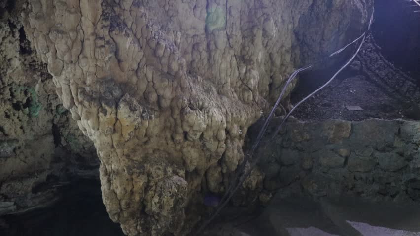 "Moving view inside a dim natural cave with rocky walls, textured surfaces, and soft ambient reflections, forming a quiet underground scene suitable for commercial nature footage."