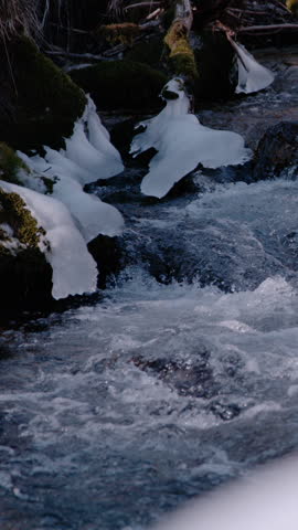 SUPER SLOW MOTION, CLOSE UP: Wild mountain river flowing between snowy and mossy rocks. Alpine creek with small rapids on a cold winter day. Mesmerizing view of pristine and free flowing spring water