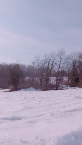 SLOW MOTION, LENS FLARE: An excited mixed breed dog jumps and runs in the snow on a scenic meadow above snowy valley. He really enjoys running around in snow during a walk in the winter countryside.