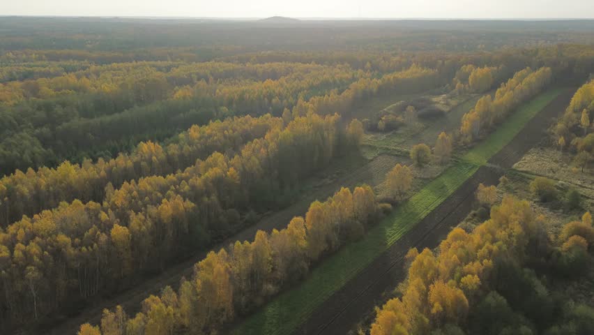 Autumn fields and forest landscape from above