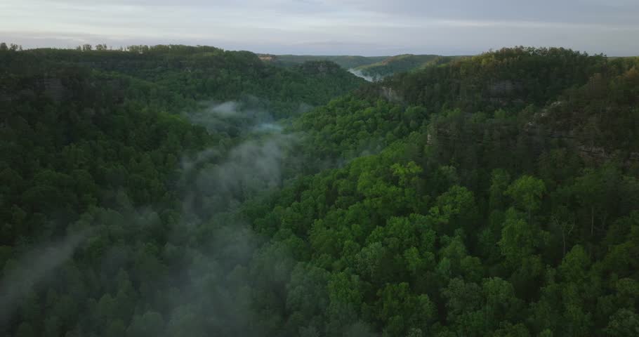 Lush forest aerial view at Red River Gorge, Kentucky during sunrise mist