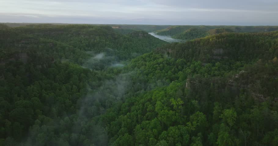 Serene sunrise view over lush Red River Gorge, Kentucky, USA forest