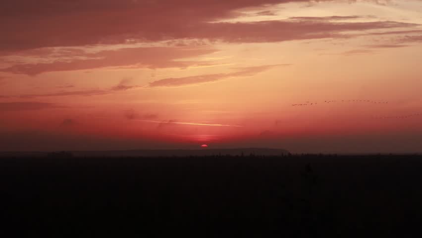 Witness the stunning sunset over the Yelnya swamp massif in Belarus, where vibrant colors fill the sky and create a peaceful atmosphere in this natural reserve