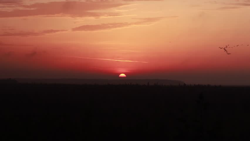 Witness the stunning colors of a sunset reflecting over Yelnya swamp in Belarus. This natural reserve showcases unique wildlife and tranquil waters throughout the year