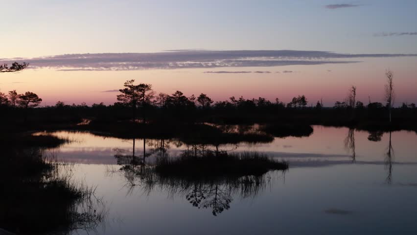 Discover the enchanting landscapes of Yelnya Swamp in Belarus as twilight casts beautiful colors over the tranquil waters and lush greenery. A perfect moment in nature