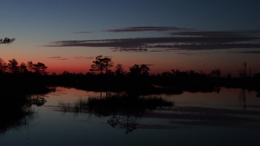 Witness the serene beauty of Yelnya swamp massif in Belarus during twilight. The tranquil lakes reflect colorful skies as nature awakens with stunning sights and sounds