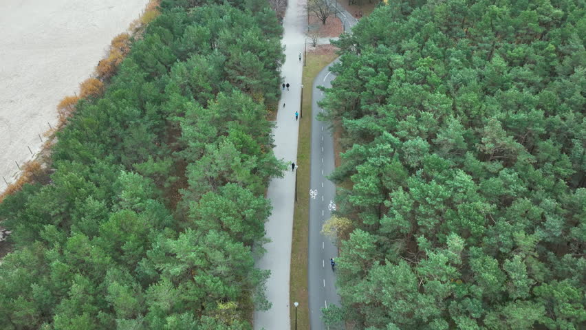 Drone shot of straight forest walkway and bike road lined with mixed green and orange trees in late autumn season.