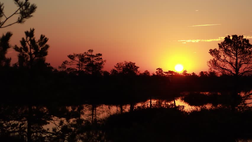 Witness the stunning sunset over Yelnya swamp massif in Belarus. The tranquil landscape features raised swamps, lakes, and thriving wildlife in a protected nature reserve