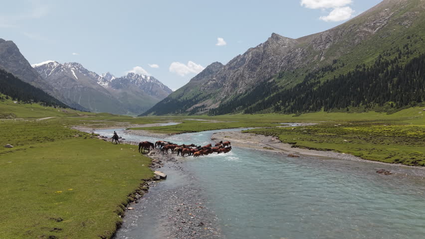 Picturesque Mountain Landscape Tian Shan Range With Horses Across The River In Kyrgyzstan, Central Asia. Aerial Wide Shot