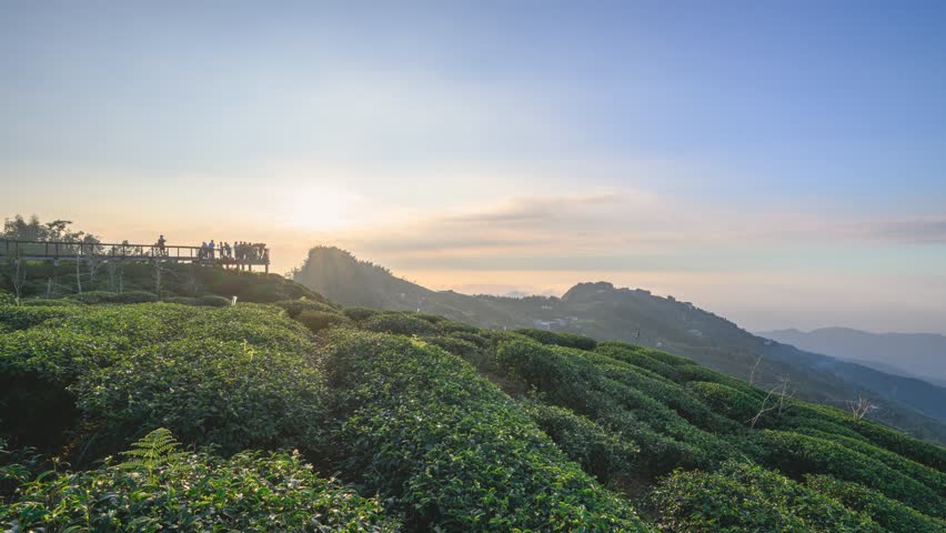 Winter afternoon on Dalun Mountain Viewing Platform in Lugu Township Nantou Taiwan. Crowds of tourists gather to watch the golden sunset over endless tea plantations and misty mountain ridges.
