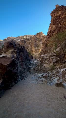Rocky Canyon Trail in the Desert (Big Bend National Park, Texas, USA)
